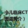 小兒臨床CT診斷圖譜（關于小兒臨床CT診斷圖譜簡介）