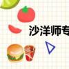 沙洋師專03計教一班（沙洋師專）