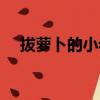 拔蘿卜的小老鼠教案（拔蘿卜的小老鼠）