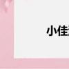 小佳河（關于小佳河簡介）