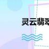 靈云翡翠專柜怎么樣（靈云翡翠）