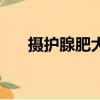 攝護腺肥大有什么癥狀（攝護腺肥大）