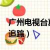 廣州電視臺真情追蹤2012（廣州影視臺真情追蹤）