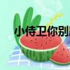 小侍衛你別跑（關于小侍衛你別跑簡介）