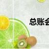總賬會計主要做什么（總賬）