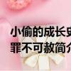 小偷的成長史-罪不可赦（關于小偷的成長史-罪不可赦簡介）