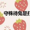 守株待兔是打一生肖（守株待兔打一生肖）