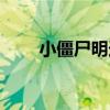 小僵尸明迪（關于小僵尸明迪簡介）
