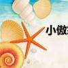 小傲霜（關于小傲霜簡介）