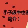 小子很牛也很“傻”（關于小子很牛也很“傻”簡介）