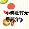小佛肚竹無性系1號（關于小佛肚竹無性系1號簡介）