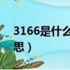 3166是什么意思 網絡用語（3166是什么意思）