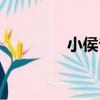 小侯爺（關于小侯爺簡介）