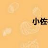小佐村（關于小佐村簡介）