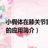 小假體在膝關節置換中的應用（關于小假體在膝關節置換中的應用簡介）
