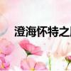 澄海懷特之腿怎么開門（澄海懷特之腿）