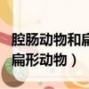 腔腸動物和扁形動物哪個更高等（腔腸動物和扁形動物）