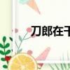 刀郎在干嘛呢（功夫派刀郎在哪）