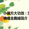 小偏方大功效：寶寶病痛全跑掉（關于小偏方大功效：寶寶病痛全跑掉簡介）