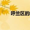 呼蘭區的郵編是多少（呼蘭區郵編）