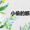 小偷的眼睛（關于小偷的眼睛簡介）