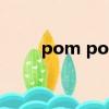 pom poms美吉姆（pom poms）