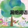漏組詞語和拼音怎么寫（漏組詞語）