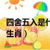 四舍五入是什么生肖的動物（四舍五入是什么生肖）