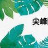 尖峰網絡打碼（尖峰網絡）
