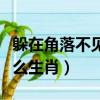 躲在角落不見人猜生肖（躲在角落不見人指什么生肖）