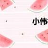 小偉村（關于小偉村簡介）