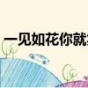 一見如花你就笑是什么歌（一見如花你就笑）