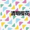清明櫻花祭高野健一（清明櫻花祭）