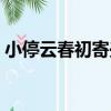 小停云春初寄興（關于小停云春初寄興簡介）
