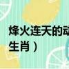 烽火連天的動物是屬什么生肖（烽火連天打一生肖）