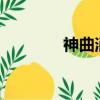 神曲消食口服液（神曲1 2）