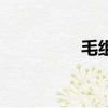 毛組詞兩個字（毛組詞）