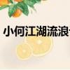 小何江湖流浪記（關于小何江湖流浪記簡介）