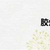 膠州4s店（膠南4s店）