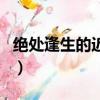 絕處逢生的近義詞是什么（絕處逢生的近義詞）