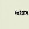 程如錦為主角的小說（程如錦）