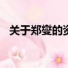 關于鄭燮的資料100字（關于鄭燮的資料）