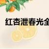 紅杏泄春光全文閱讀19（類似紅杏泄春光）
