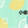 小偷節（關于小偷節簡介）