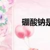 硼酸鈉是酸性還是堿性（硼酸鈉）