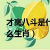 才高八斗是什么生肖積牛寺碼（才高八斗是什么生肖）