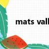 mats valk代言的魔方（mats valk）