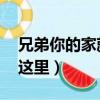 兄弟你的家就在這里歌詞（兄弟 你的家就在這里）
