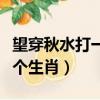 望穿秋水打一個生肖牛猴絕殺（望穿秋水打一個生肖）