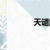 天譴颶風英文（天譴颶風）